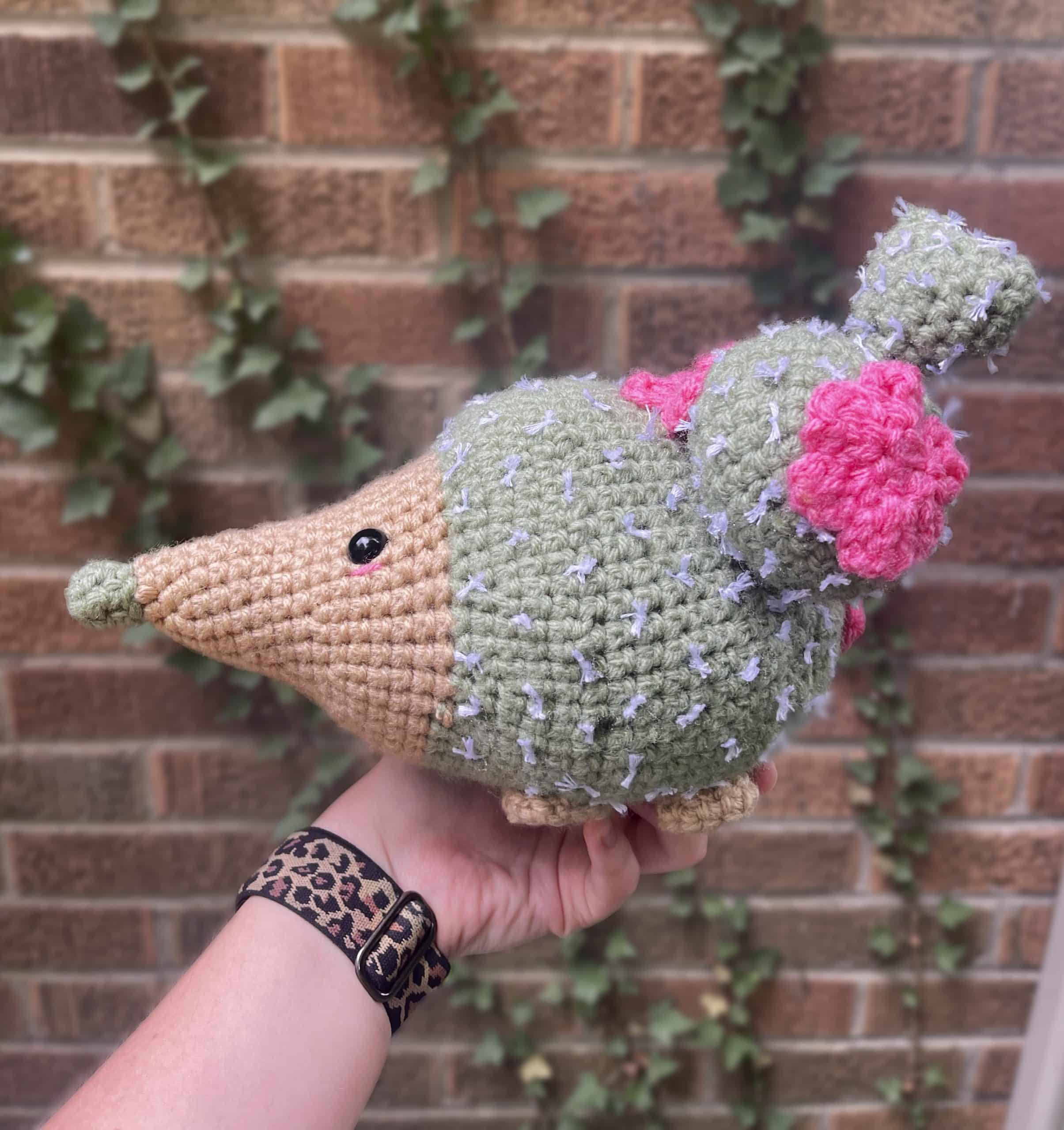 Cactus Hedgehog right side view
